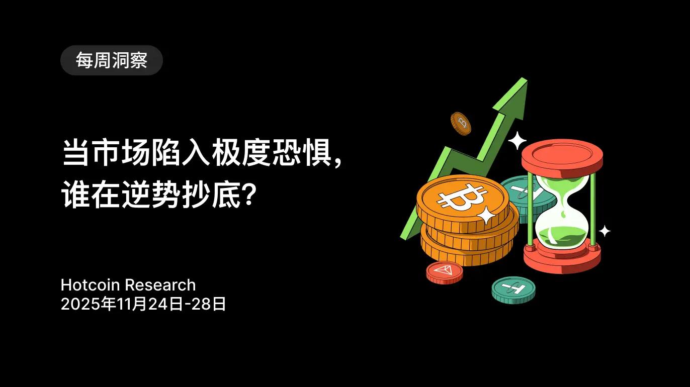 当市场陷入极度恐惧，谁在逆势抄底？Hotcoin Research | 2025 年 11 月 24 日-28 日